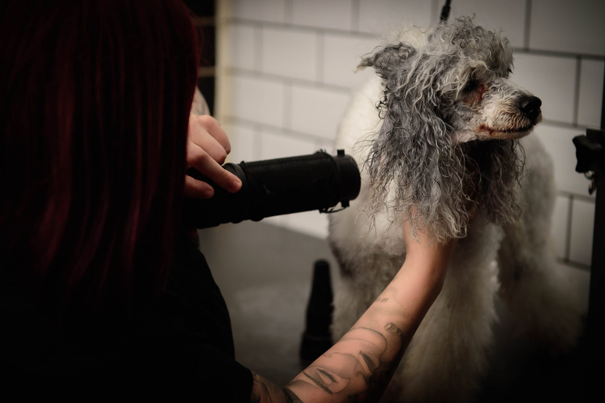 Dog styling Finishing sprays, Perfumes and After Shave Wow Grooming