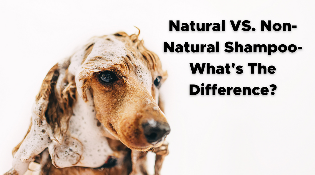 Natural VS. Non-Natural Shampoo- What's The Difference?