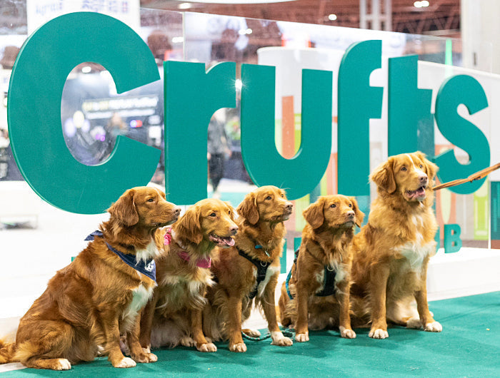 CRUFTS 2026 WOW GROOMING HALL 5 STAND 110