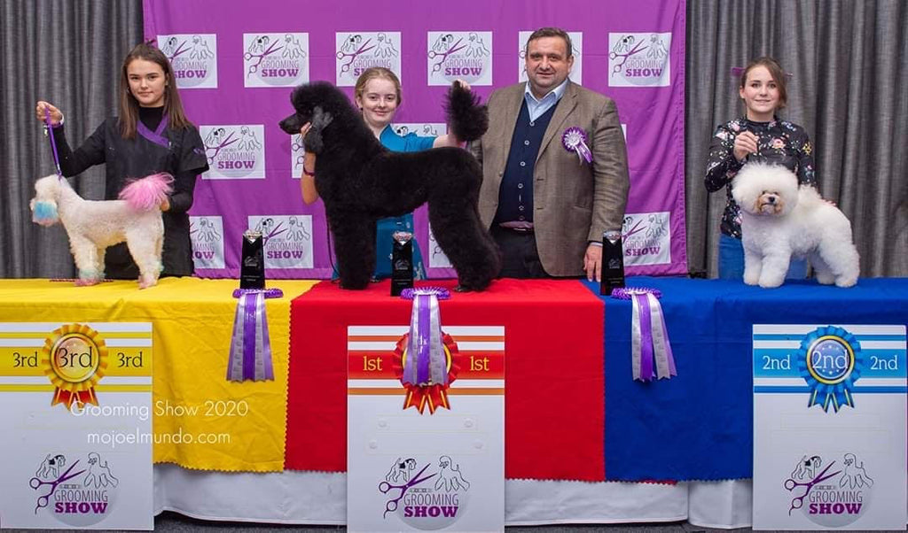 Meet the ambassadors: Morgan Taite-Shoosmith - Alisiane Pet and Show Grooming