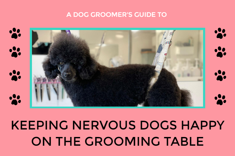 10 tips for keeping nervous dogs happy on the grooming table