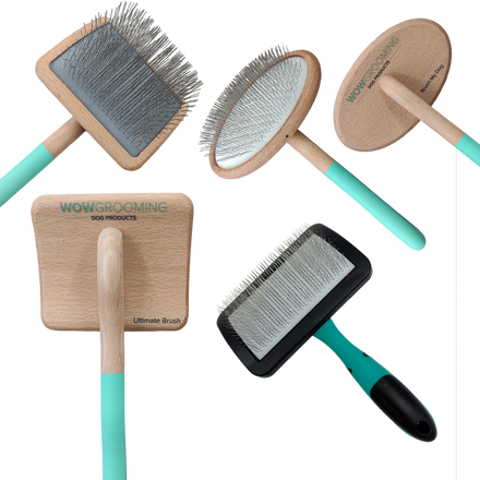 Different types of dog brushes clearance