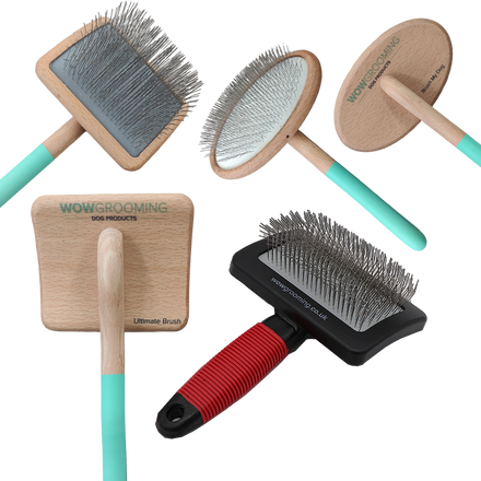 Dog combs and clearance brushes