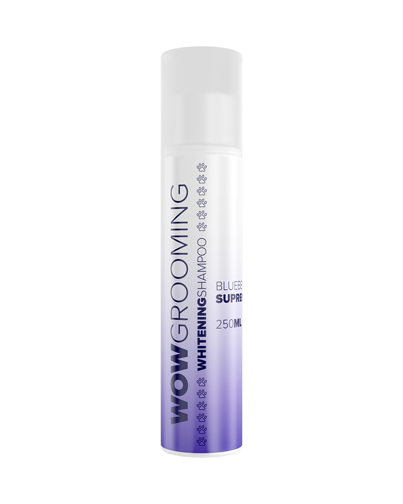 Whitening Dog Shampoo White and Light Coats Wow Grooming