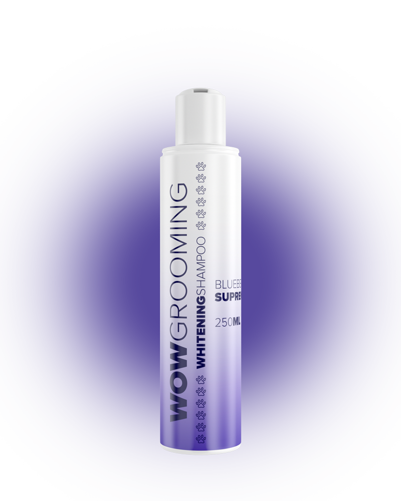 Best dog sales whitening shampoo uk