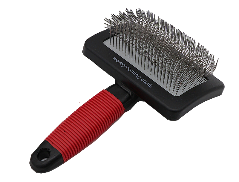 Pin dog brush deals