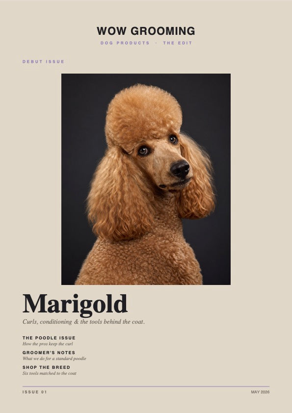 The WOW Magazine
